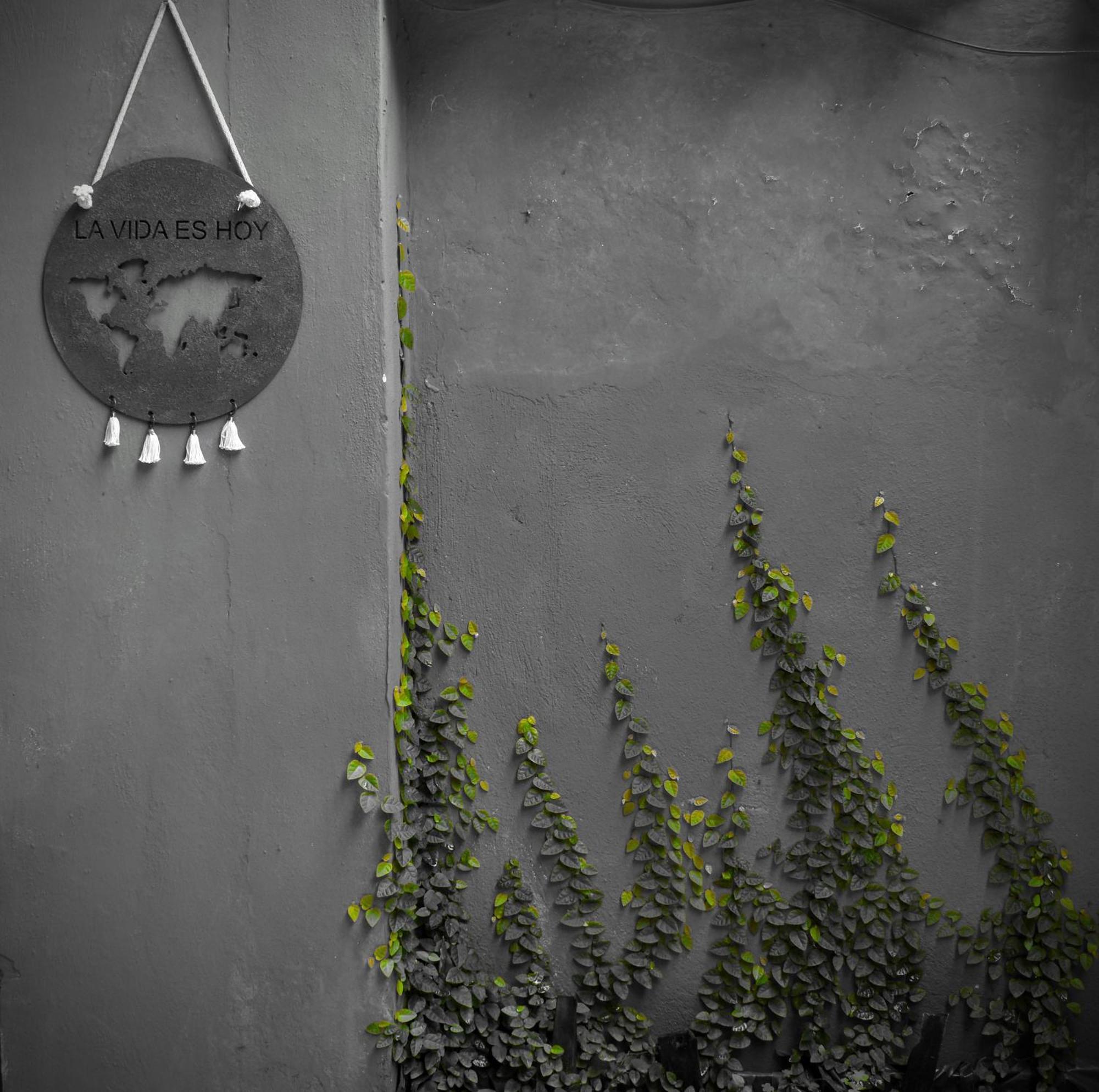 Leo'S Clan Beach Hostel Araquari Exterior foto